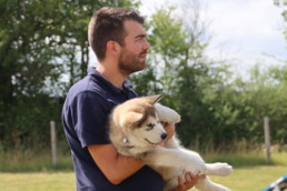 educateur canin bordeaux