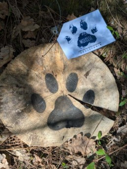 totem chasse aux tr&eacute;sors