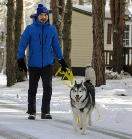 Joffrey petsitter &eacute;ducation canine st m&eacute;dard en jalles