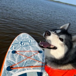 Kira en canipaddle
