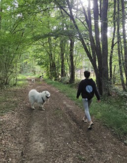 balade en foret