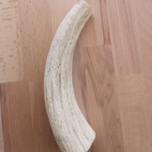 Noyau de corne de buffle