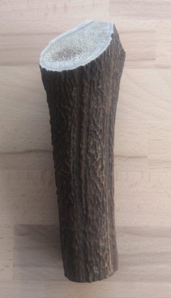bois de cerf, mastication naturelle longue durée pour chien