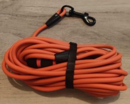 longe pour chien