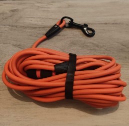 longe pour chien