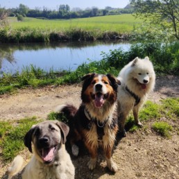 balade socialisation