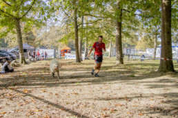 Chien courant en pleine nature encadré par un éducateur du Pôle Canin lors d'une sortie sportive
