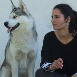 educateur canin