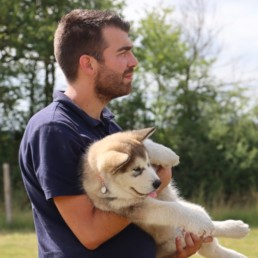 chien heureux en séance individuelle d'éducation à Bordeaux