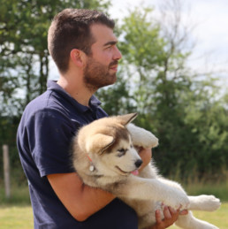 chien heureux en séance individuelle d'éducation à Bordeaux