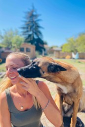 ruby malinois