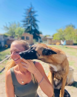 ruby malinois