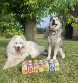 boutique pour chien bordeaux