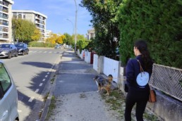 Promenade de chien avec un professionnel du Pôle Canin – Service de promenades et visites à domicile