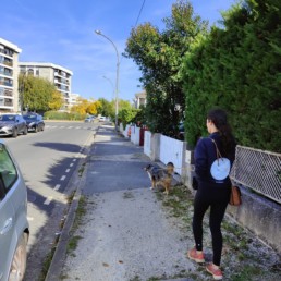 Promenade de chien avec un professionnel du Pôle Canin – Service de promenades et visites à domicile