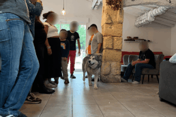 peccram chien