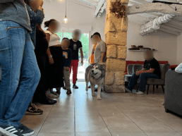peccram chien