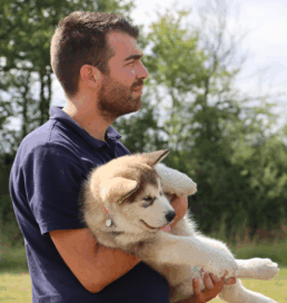 Thomas cynologiste éducation canine Nord Gironde